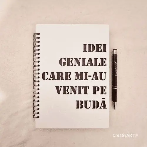 Idei geniale care mi-au venit pe buda Idei geniale care mi-au venit pe buda